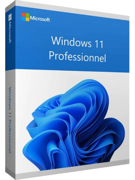 Windows 11 Professionnel