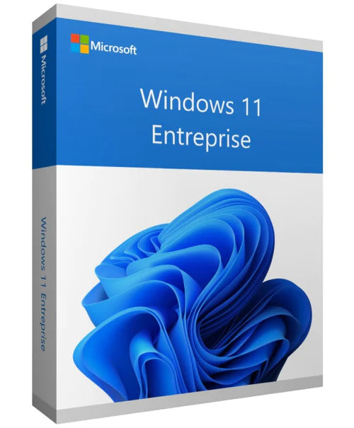 Clé Microsoft Windows 11 Entreprise